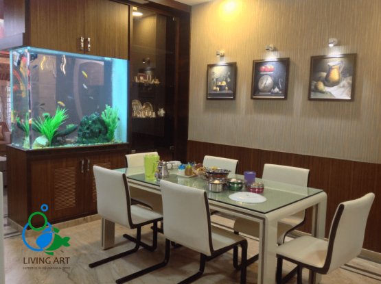 Residential Aquarium Home Aquarium