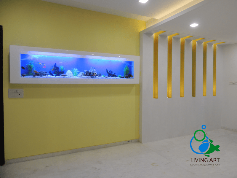 710 Aquarium Design Chennai Terbaik
