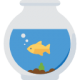 aquarium aquarium