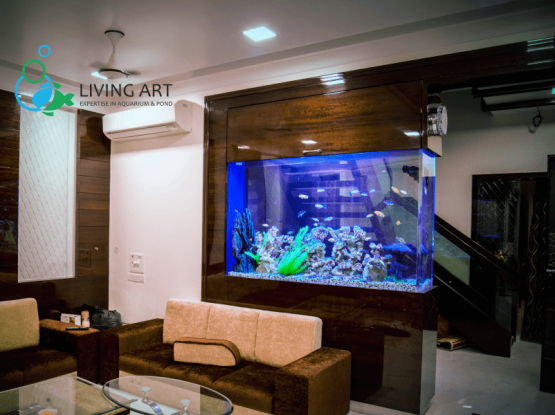 Residential Aquarium Home Aquarium